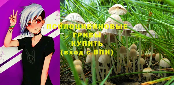 стафф Горняк