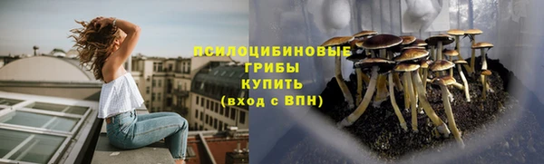 гидропоника Горно-Алтайск