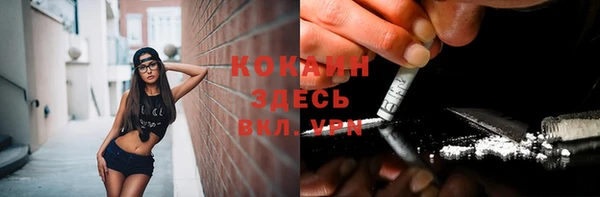 стафф Горняк