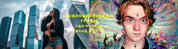 спайс Горнозаводск